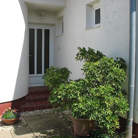 Doina Apartman زلاكاروس المظهر الخارجي الصورة