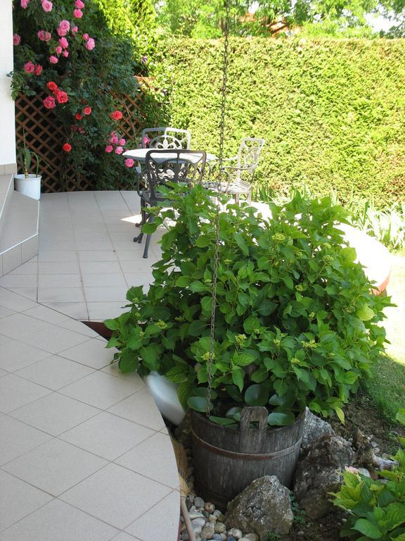 Doina Apartman زلاكاروس الغرفة الصورة