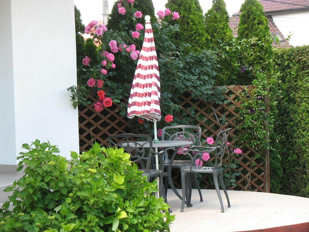 Doina Apartman زلاكاروس الغرفة الصورة